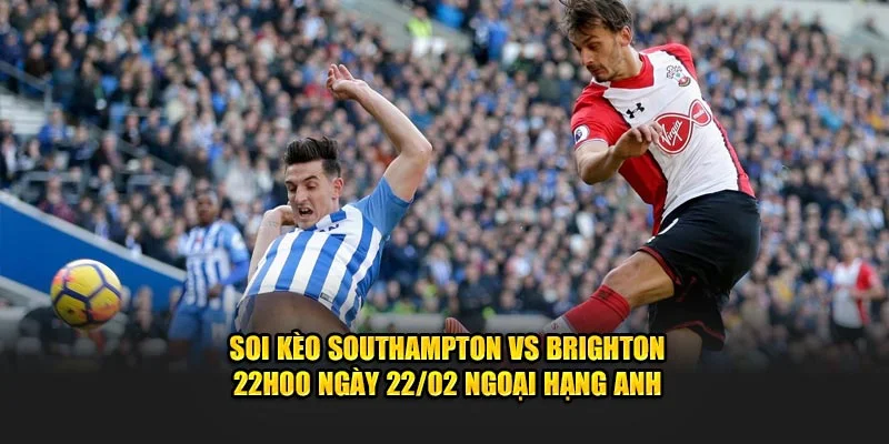 soi kèo southampton vs brighton tại cakhia tv