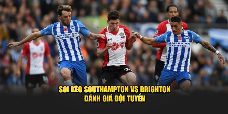 Soi kèo Southampton vs Brighton đánh giá đội tuyển
